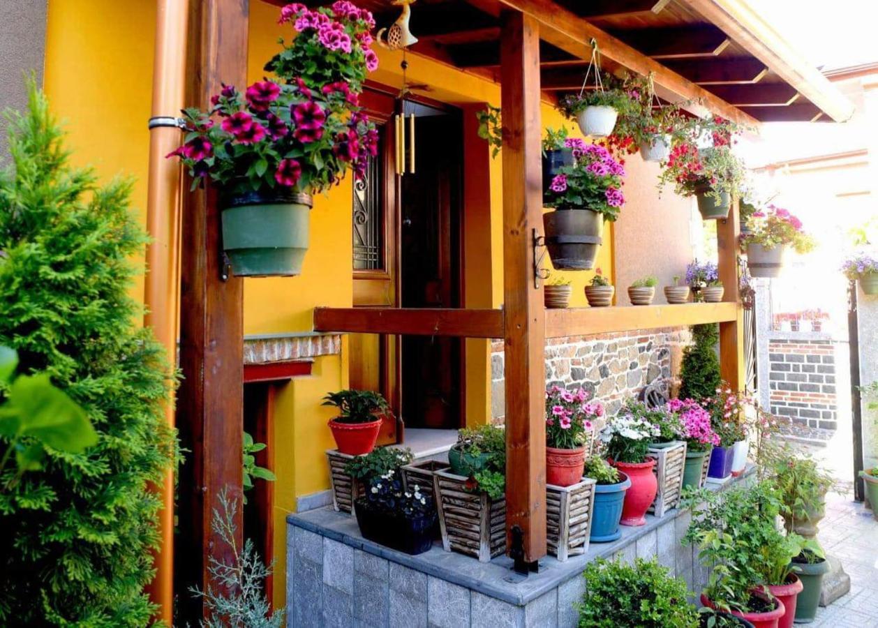 Hotel Bujtina Bicolli Корча Екстериор снимка